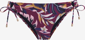 LASCANA Σλιπ μπικίνι σε λιλά: μπροστά