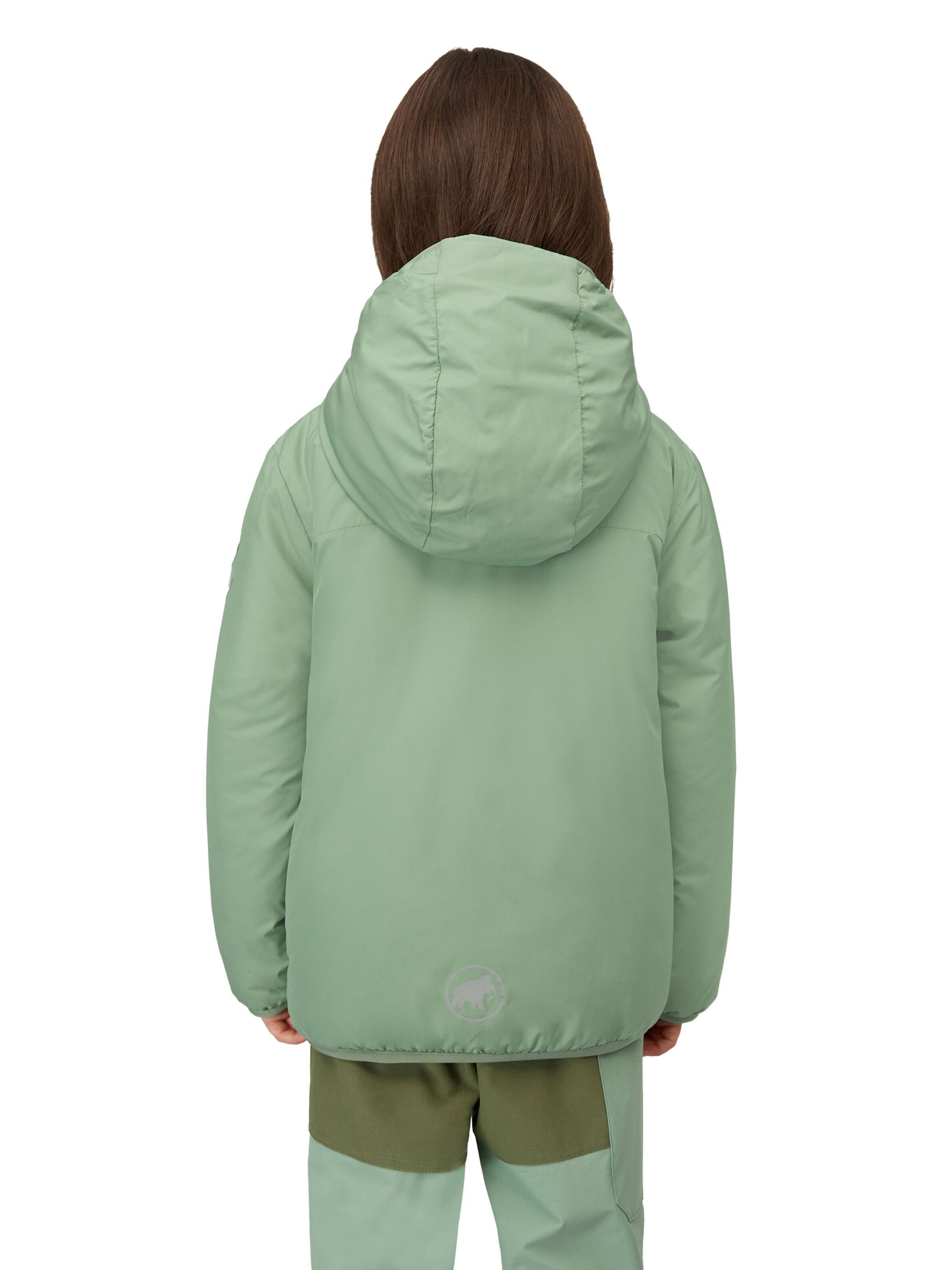 MAMMUT Outdoor jacket 'Rime IN' in Green