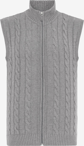 Felix Hardy Vest in Grey: front