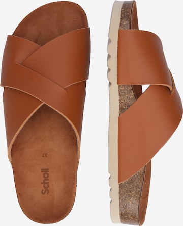 Mule 'NOELLE 24' SCHOLL en marron