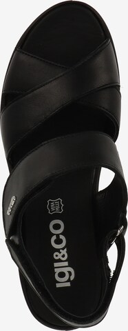 IGI&CO Sandalen met riem in Zwart