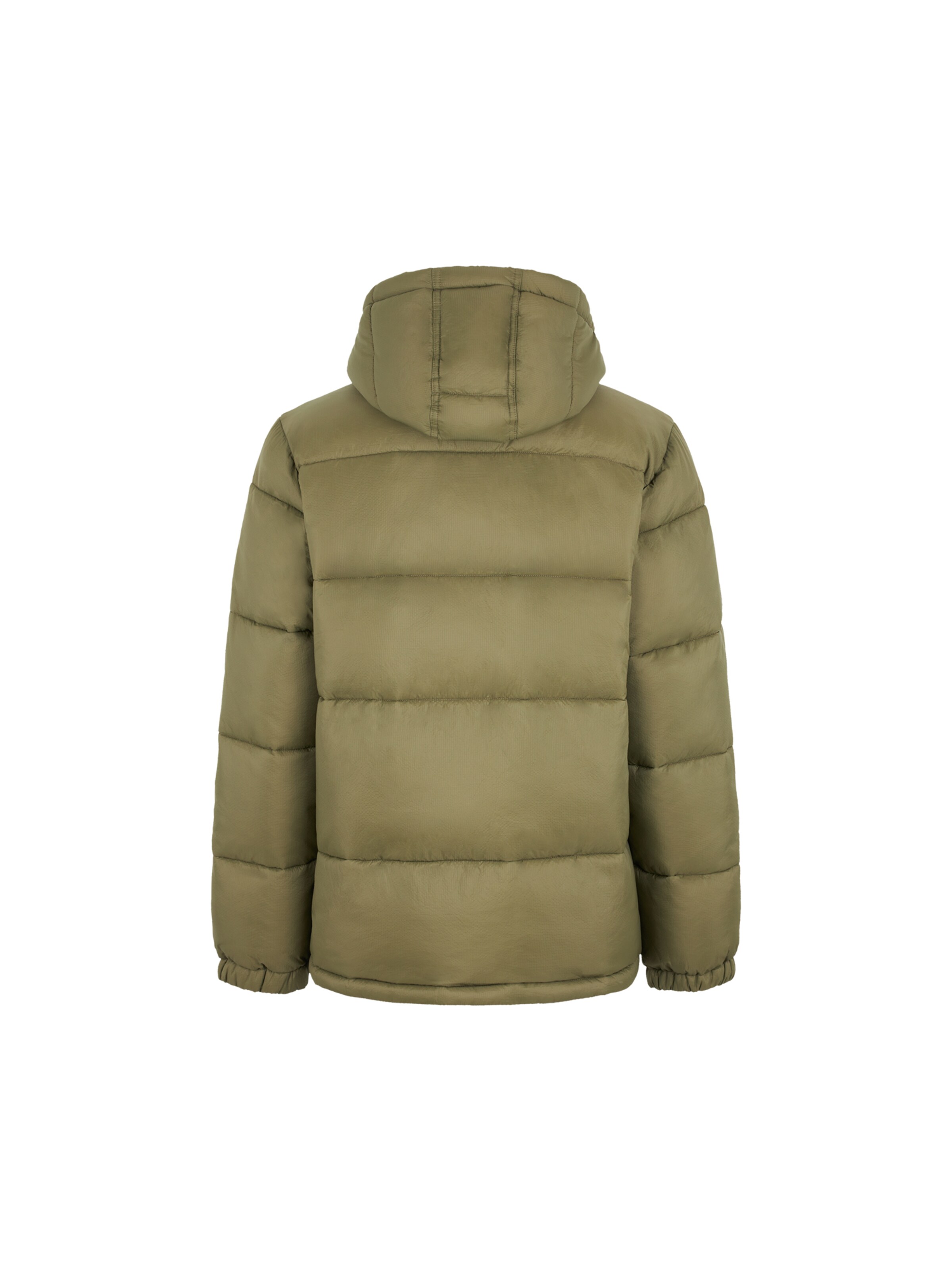 žalia DICKIES Žieminė striukė 'WALDENBURG '