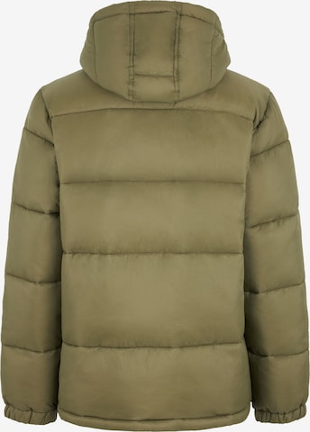 DICKIES Winter jacket 'WALDENBURG ' in Green