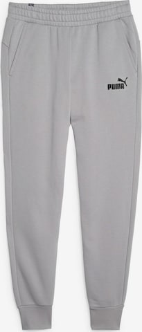 PUMA Workout Pants in Grey: front