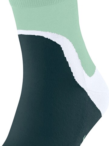 FALKE Socks 'Run Special Edition' in Purple