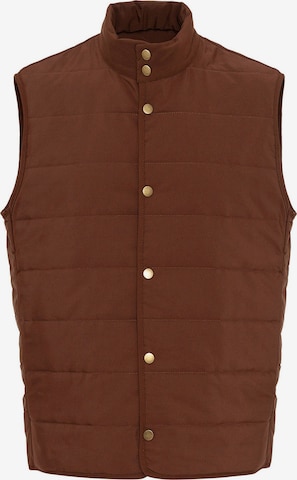 AntiochPrsluk - smeđa boja: prednji dio