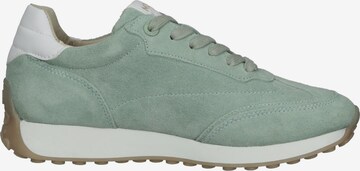 MEXX Sneakers in Green