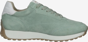 Sneaker bassa di MEXX in verde