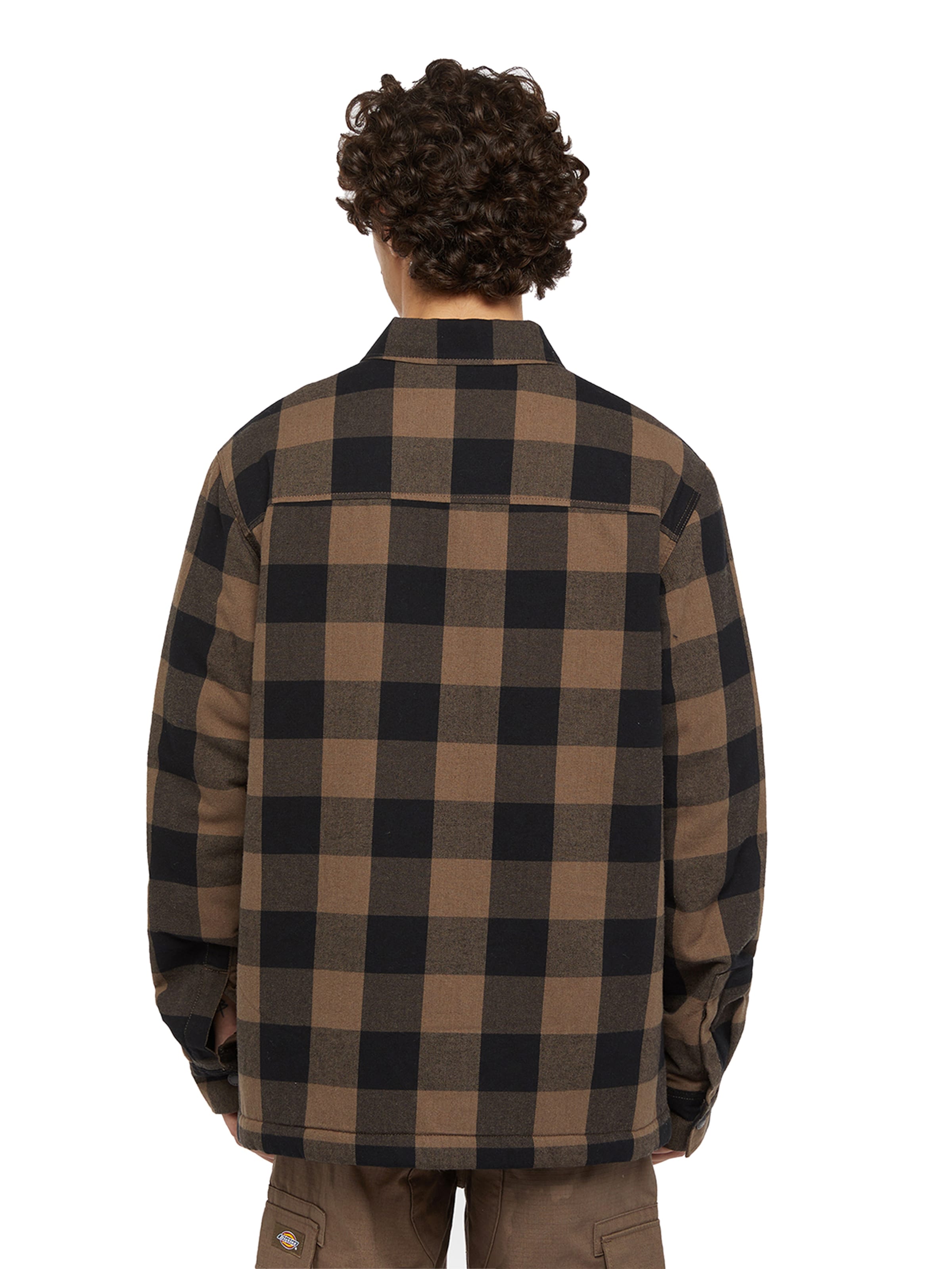 Regular fit Giacca di mezza stagione 'LINED SACRAMENTO' di DICKIES in nero