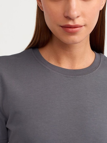 T-shirt 'T-Shirts' Dilvin en gris