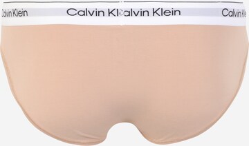 smėlio Calvin Klein Underwear Plus Moteriškos kelnaitės