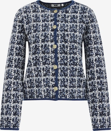 mėlyna WE Fashion Kardiganas: priekis