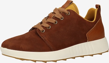 Legero Sneaker in Brown: front