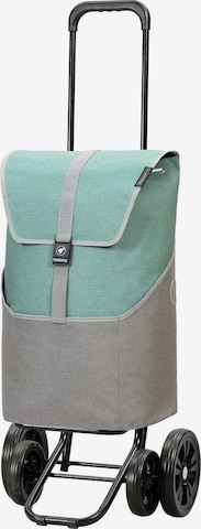 Andersen Shopper Trolley 'Quattro' in Groen: voorkant