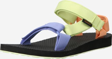 TEVA Sandal in Mixed colours: front