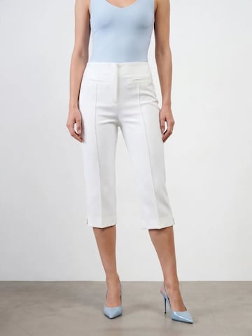 Dilvin - Regular Calças em branco: frente