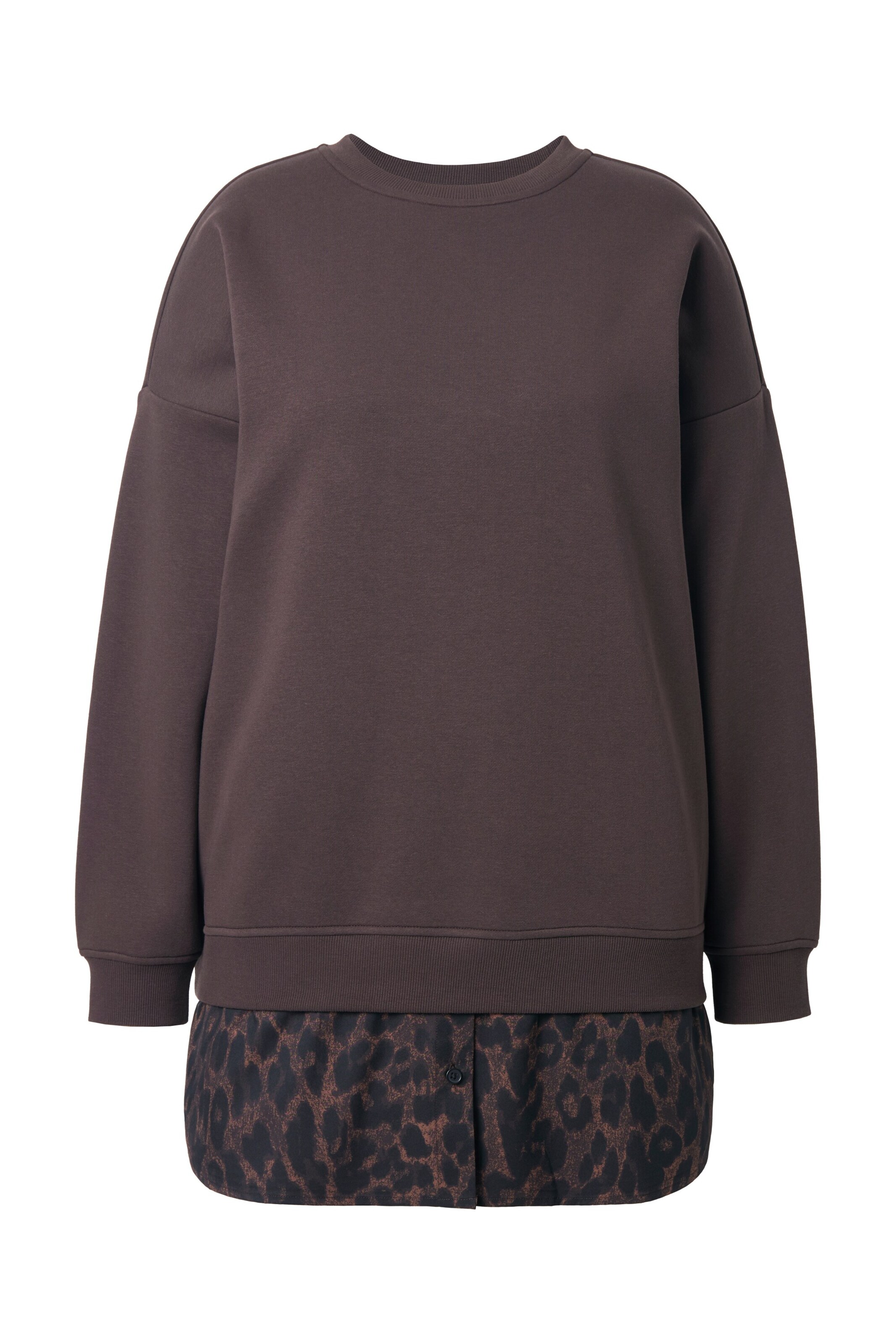 Studio Untold Sweatshirt in Brown: front