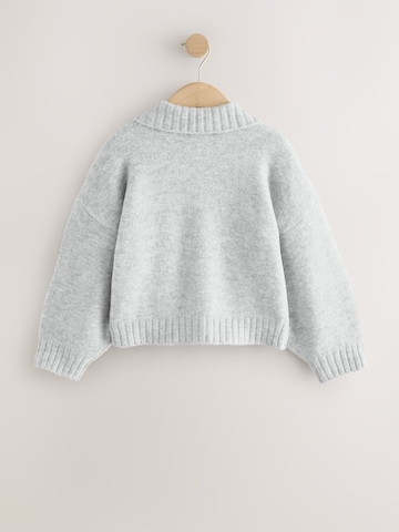 Next Strickjacke in Grau
