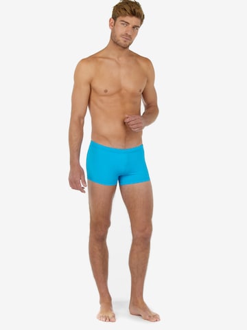 HOM Zwemshorts ' Sea Life ' in Blauw