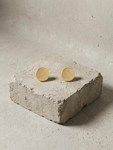 DNSK Copenhagen Øreringe 'TYRA Waterproof 18K Gold Plated Post Earrings – Sanded Stainless Steel' i guld