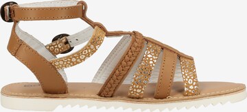 Kickers Sandalen in Braun