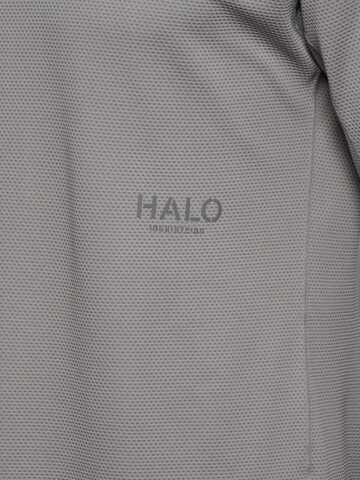 HALO Shirt in Grijs