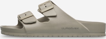 QUIKSILVER Mules 'Embark' in Grey: front