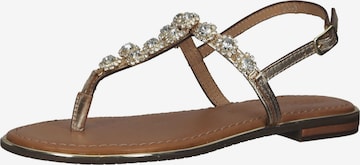 GEOX T-Bar Sandals in Gold: front