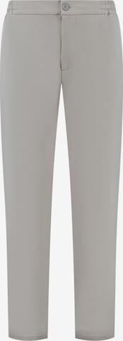 Regular Pantalon 'HUDSON' Shiwi en gris : devant