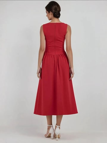 Hiccup Kleid in Rot