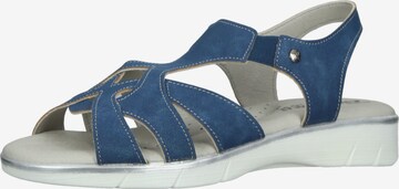 Sandales à lanières Arcopedico en bleu : devant