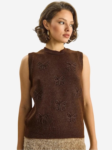 Pull-over Bianco Lucci en marron