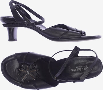 Paul Green Sandals & High-Heeled Sandals in 38,5 in Black: front