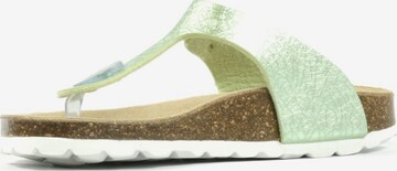 Richter Schuhe Sandals in Green: front