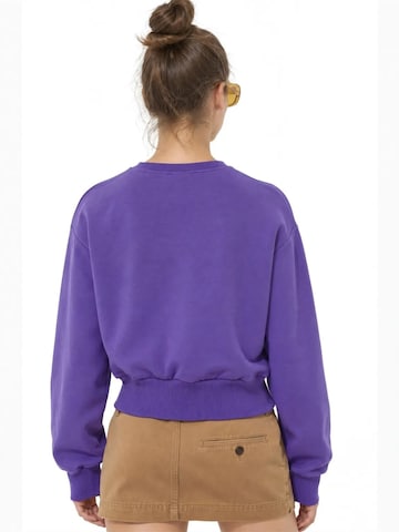 Busem Sweatshirt 'Sweatshirts' in Purple
