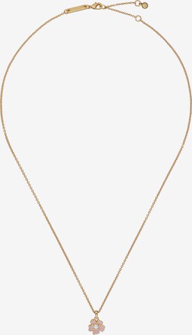 Ted Baker Kette in Gold: predná strana