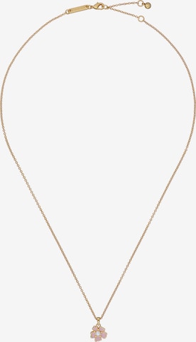 Ted Baker Ketting in Goud: voorkant