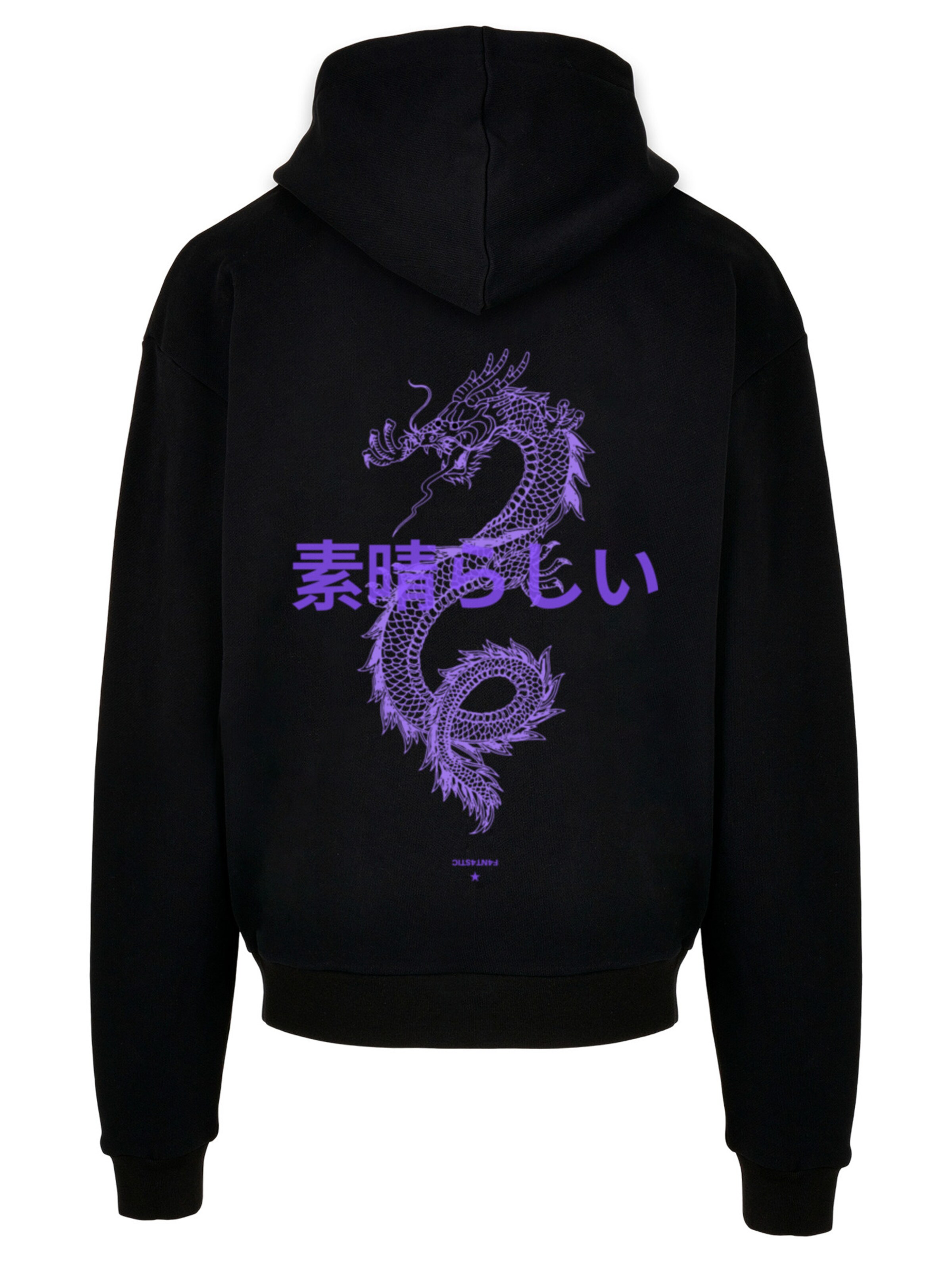F4NT4STIC Sweatshirt  'Drache' in Schwarz