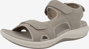 CLARKS Strap Sandals ' Mira Bay ' in Grey: front
