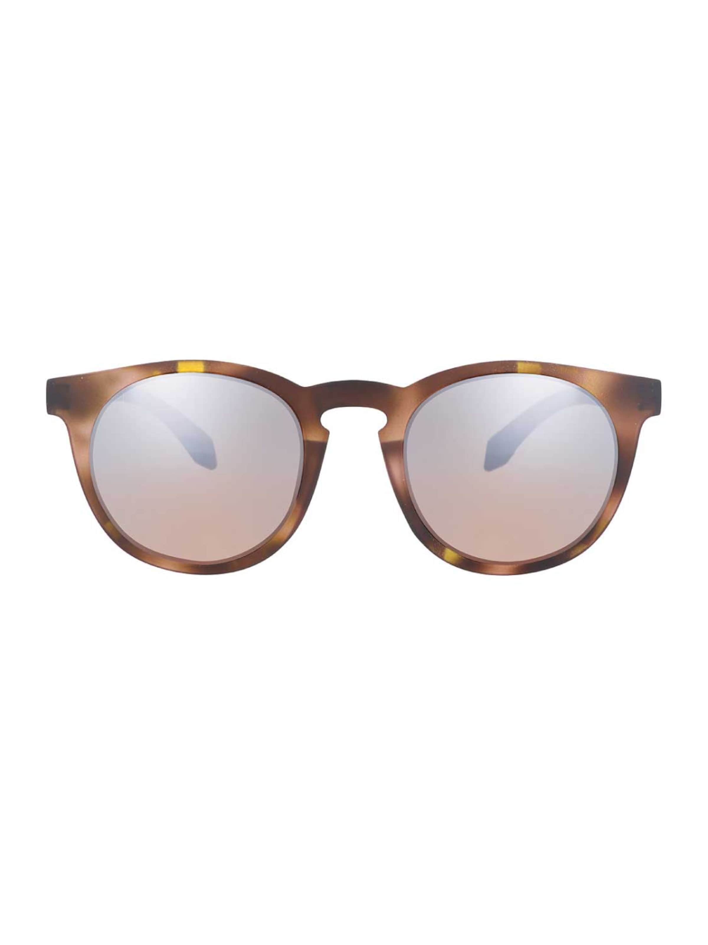 Alsteca Sunglasses 'Wynwood C16' in Brown: front