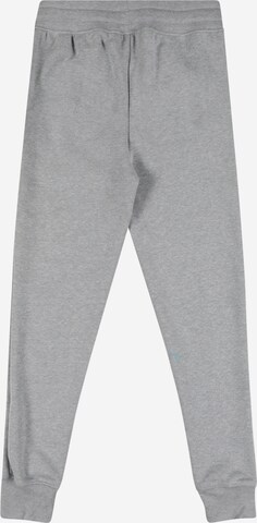 UNDER ARMOUR Workout Pants 'Rival' in Grey