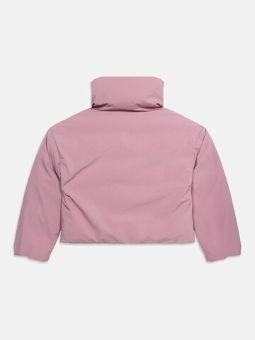 ADIDAS ORIGINALS - Casaco de inverno em roxo