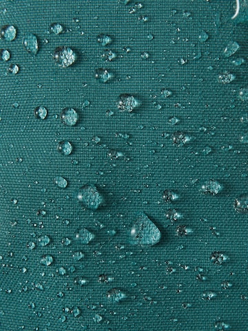 Reima Gloves 'Ote' in Green: top