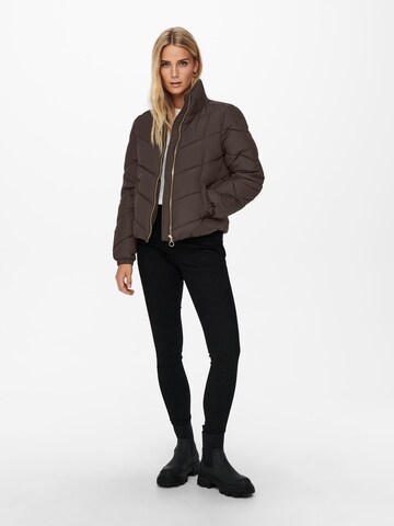 JDY Between-season jacket 'Finno' in Brown