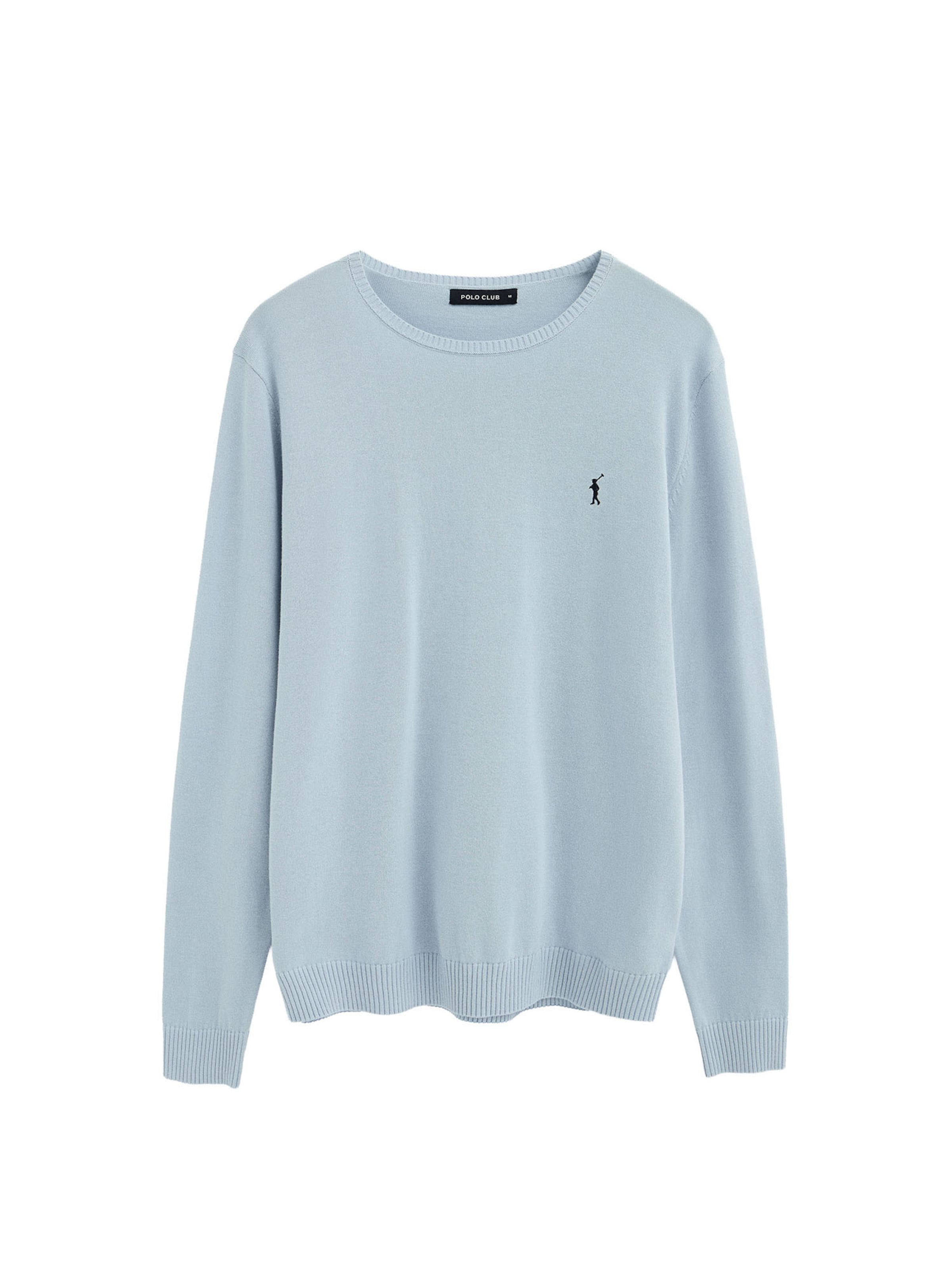 Polo Club Pullover in Blau