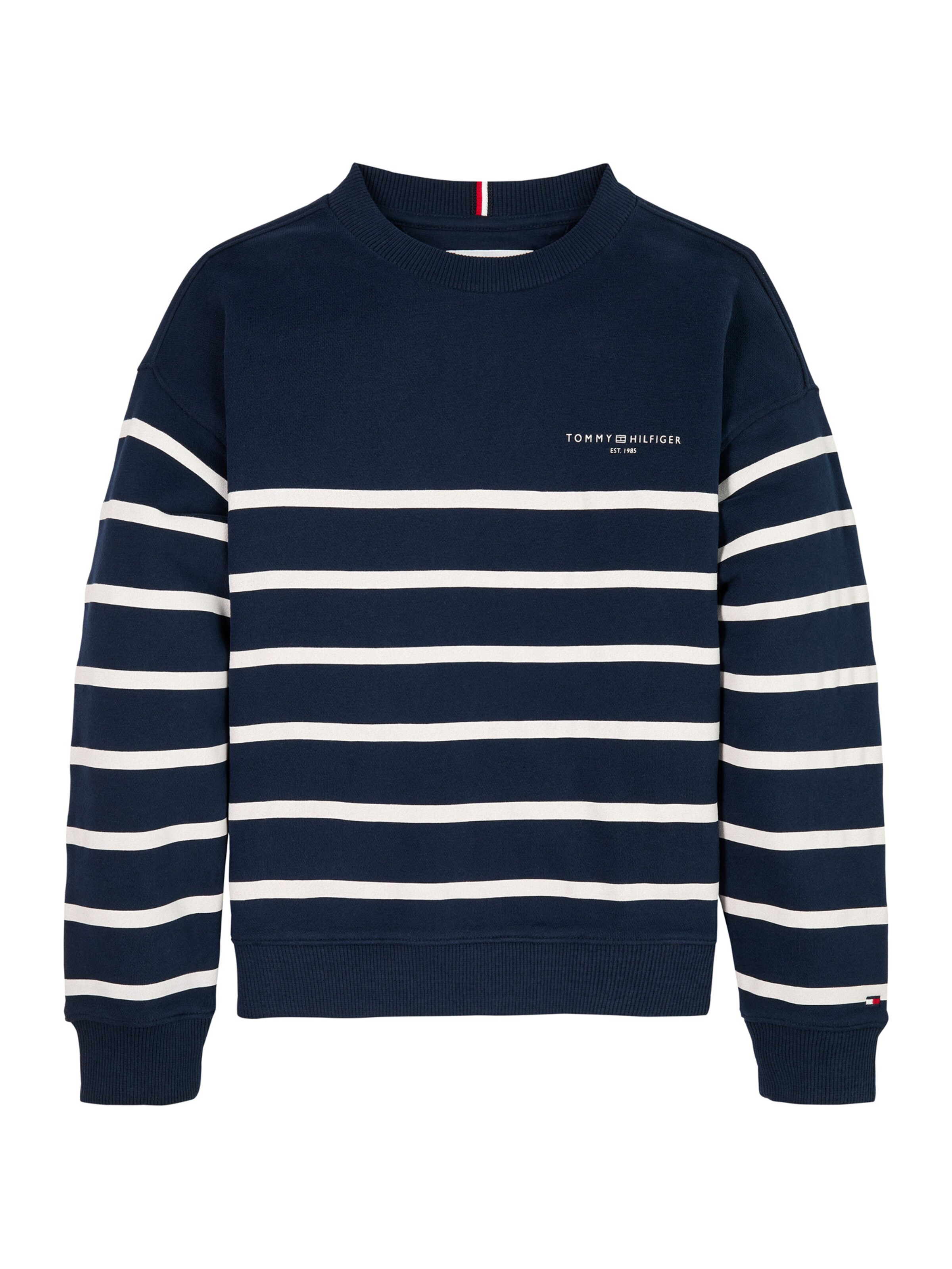 TOMMY HILFIGER Sweatshirt in Blue: front