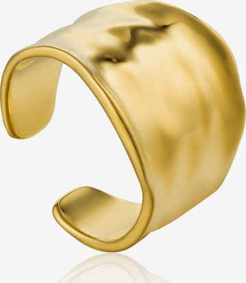 ANIA HAIE Ring in Gold: front