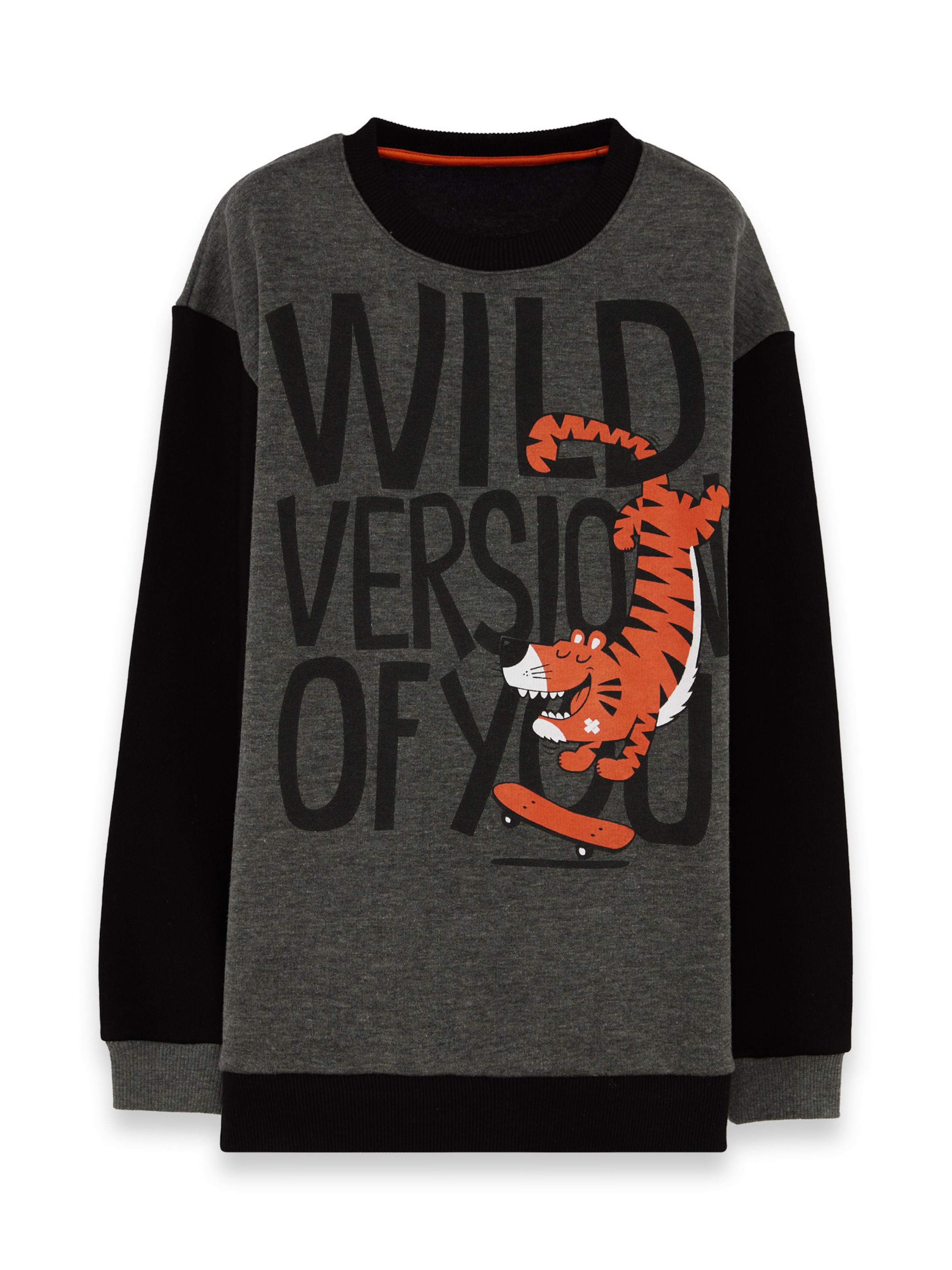 Set 'CFF-25S1-079' Denokids en gris