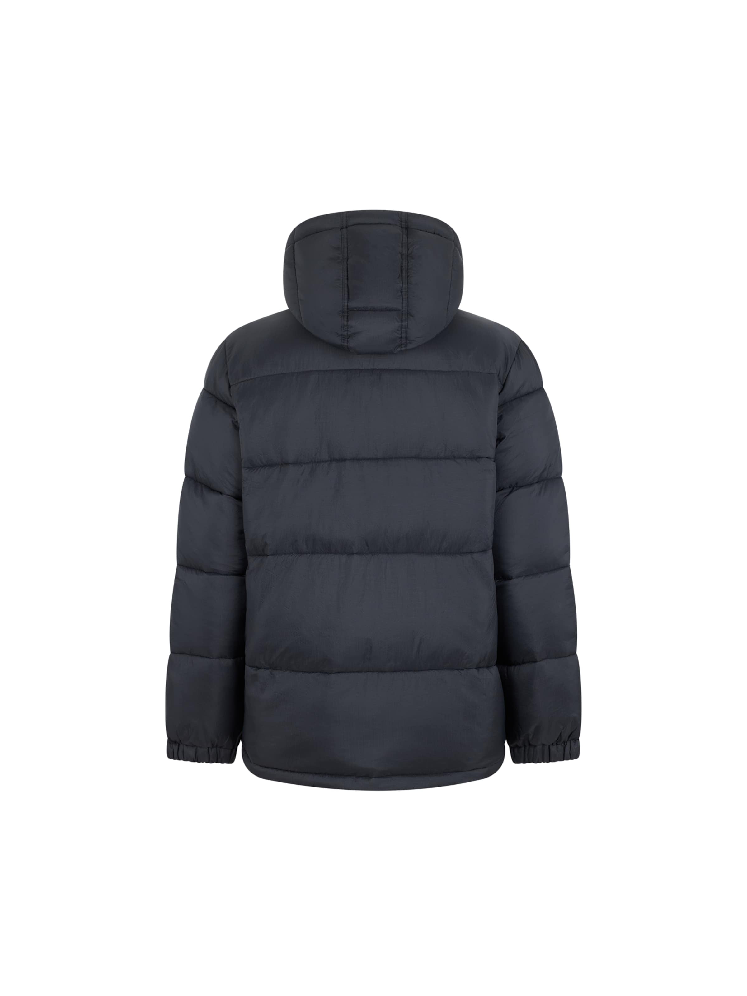 DICKIES Vinterjakke 'WALDENBURG' i blå