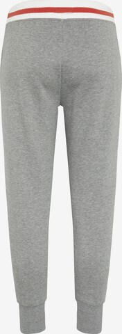 CHIEMSEE Tapered Pants in Grey